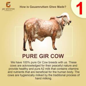 Pure Gir cow A2 Ghee